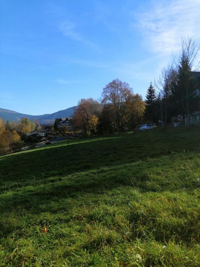 Gór-ski Saneczkowa Apartament *