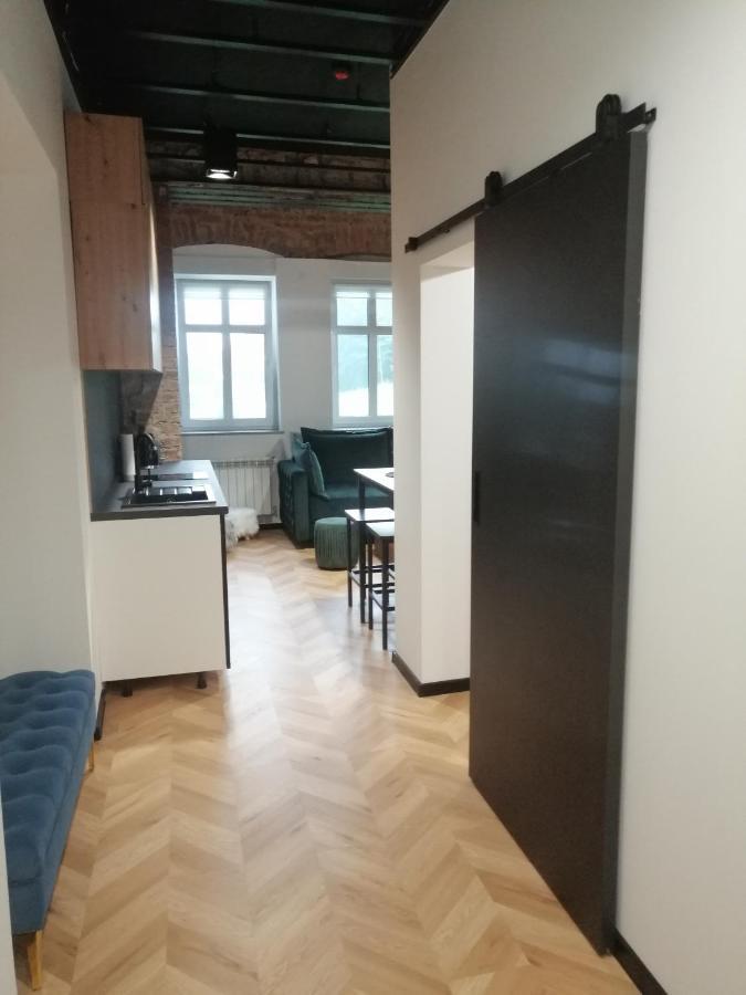 Gor-ski Saneczkowa Apartment
